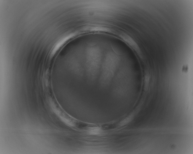 X0000114170798200910151636