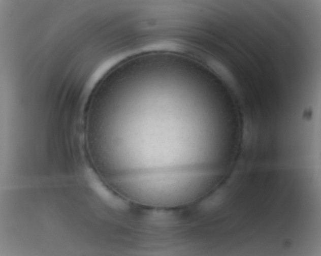 X0000114170800200910151636
