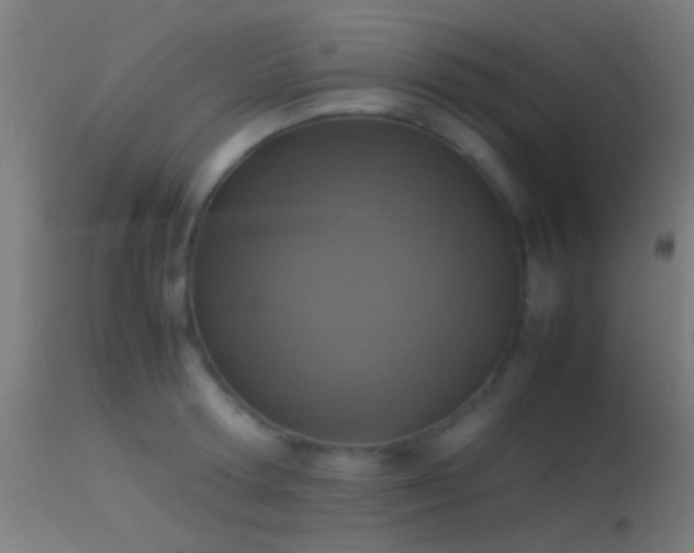 X0000114170802200910151636