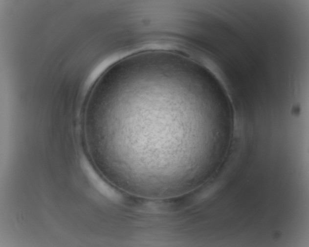 X0000114170803200910151636