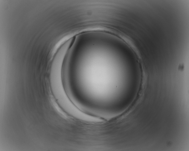 X0000114170805200910151636