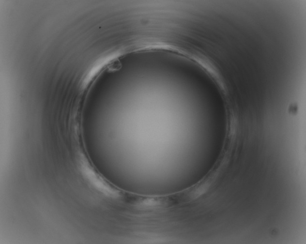 X0000114170806200910151636
