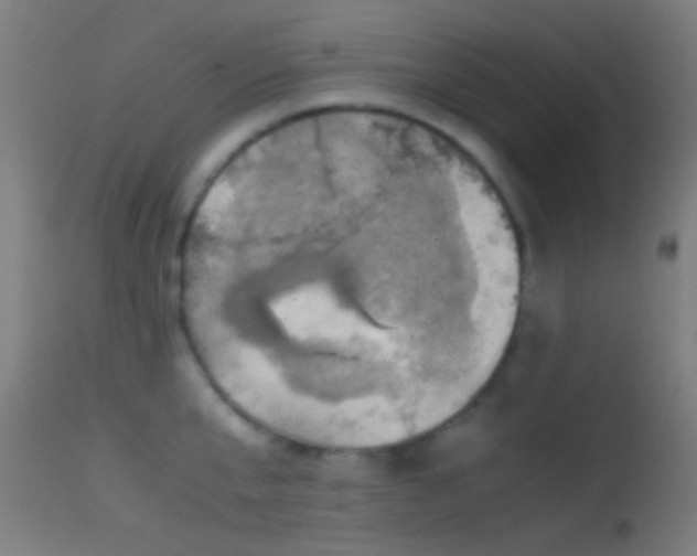 X0000114170807200910151636