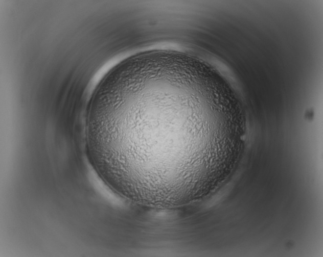 X0000114170808200910151636