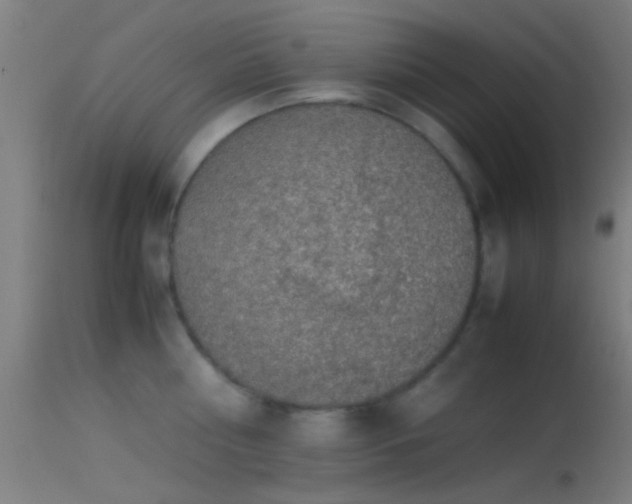 X0000114170810200910151636
