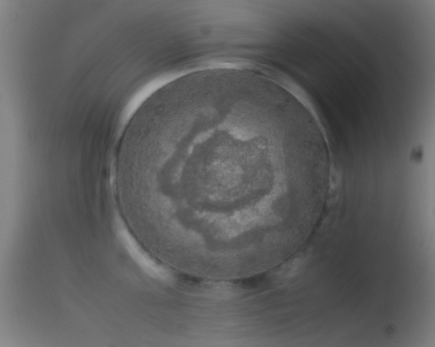 X0000114170811200910151635