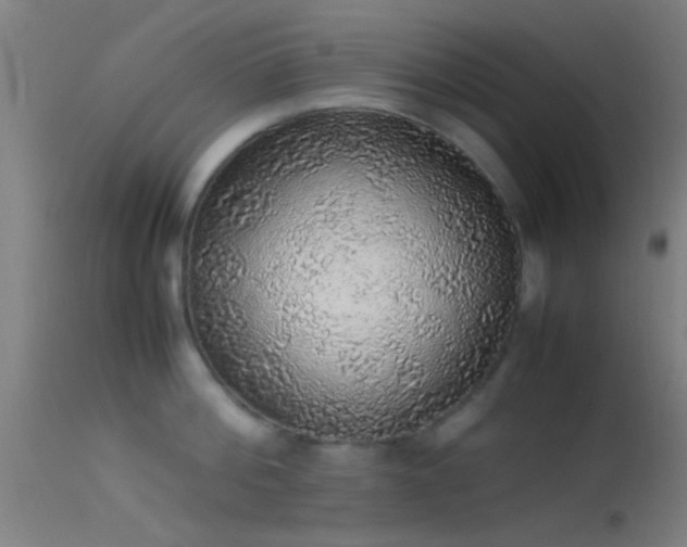 X0000114170812200910151635