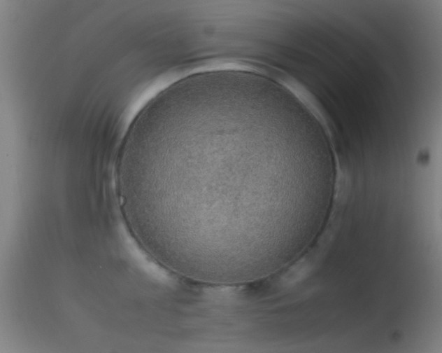 X0000114170813200910151635