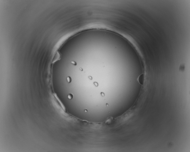 X0000114170815200910151635