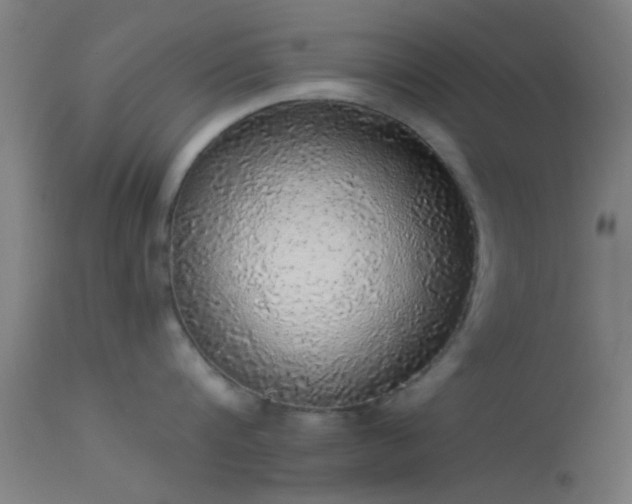 X0000114170816200910151635