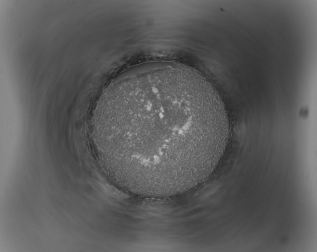 X0000114170817200910151635