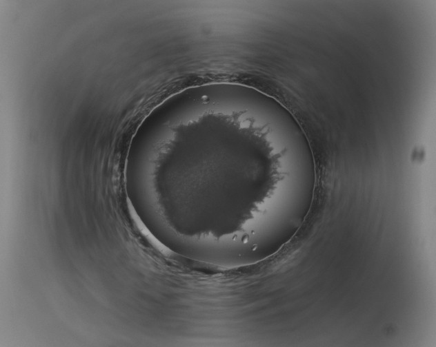 X0000114170818200910151635
