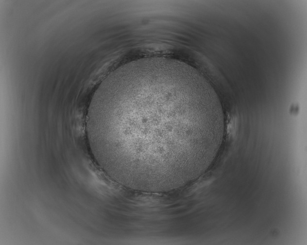 X0000114170819200910151635
