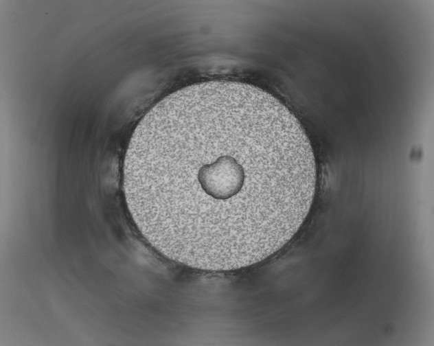 X0000114170820200910151635