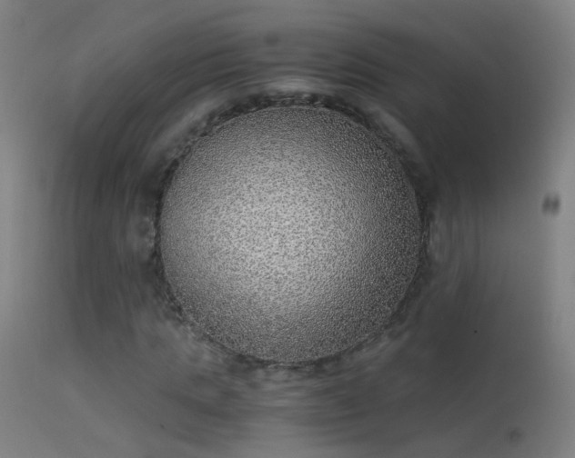 X0000114170821200910151635