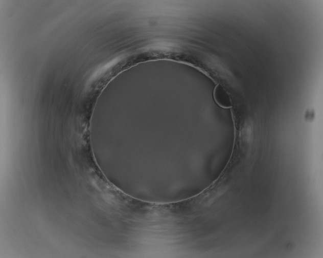 X0000114170822200910151635
