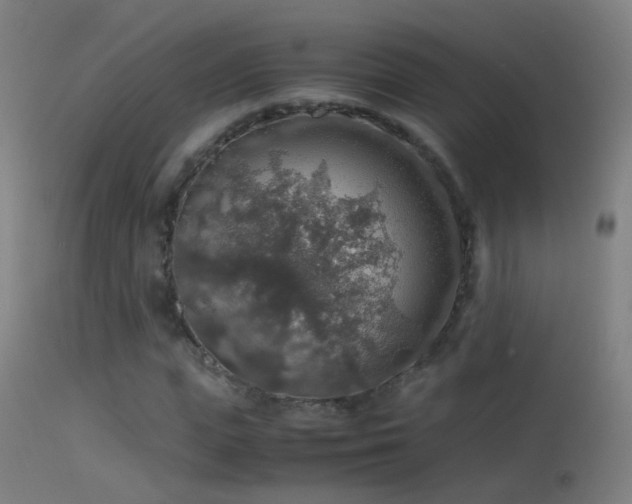X0000114170823200910151635