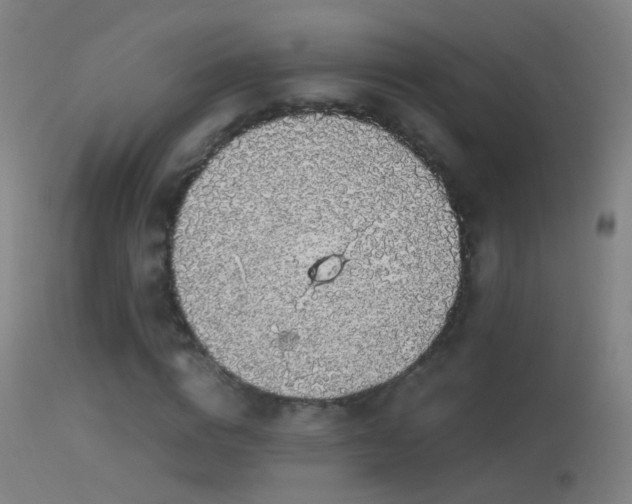 X0000114170824200910151635