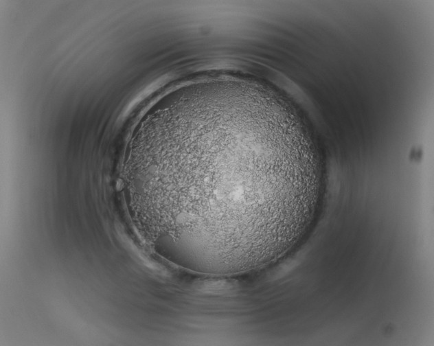 X0000114170826200910151635