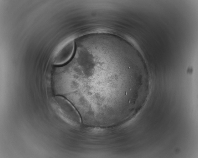 X0000114170827200910151635