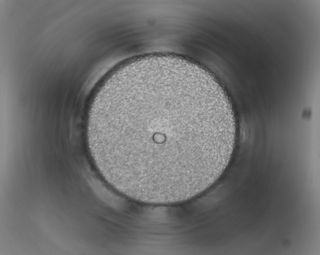 X0000114170828200910151635