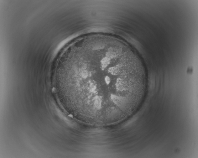 X0000114170830200910151635