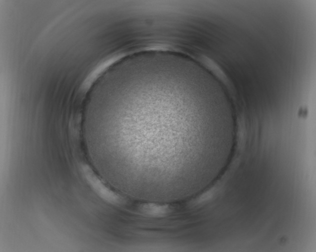 X0000114170831200910151635