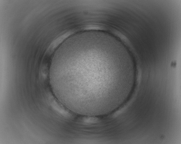 X0000114170833200910151635