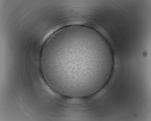 X0000114170834200910151635