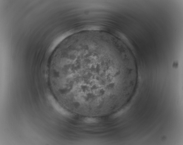 X0000114170835200910151635
