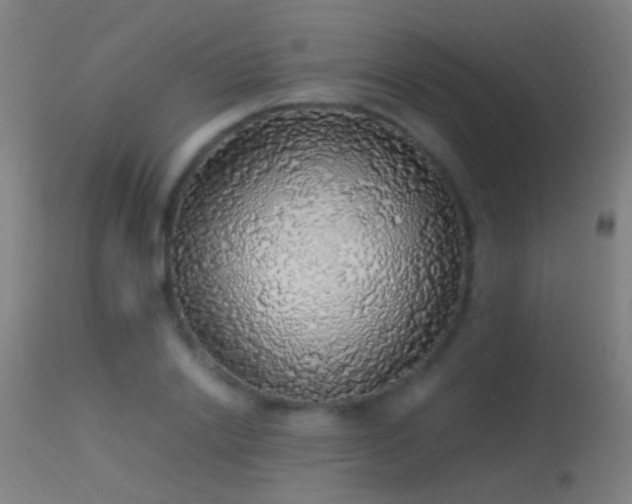 X0000114170838200910151635