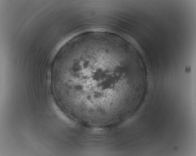 X0000114170839200910151635