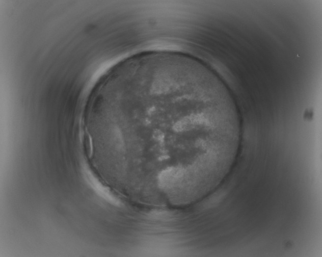 X0000114170840200910151635