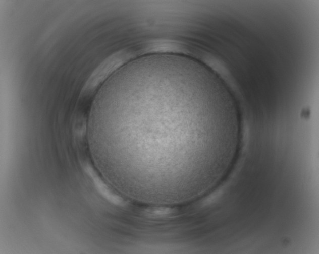 X0000114170841200910151635