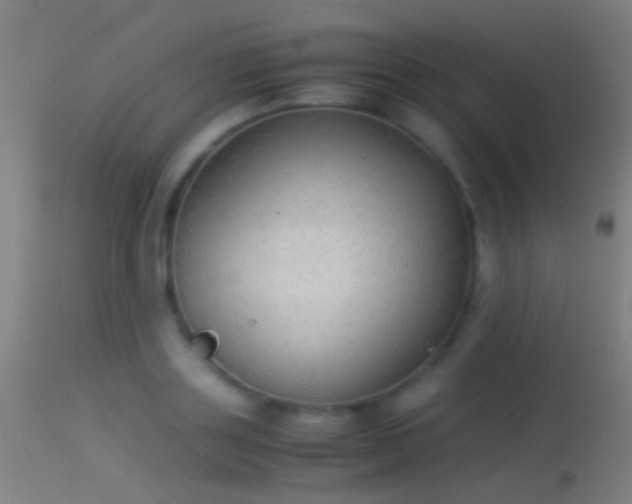 X0000114170843200910151635