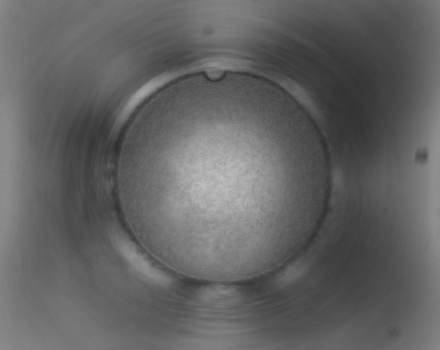 X0000114170846200910151635