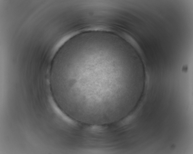 X0000114170847200910151635