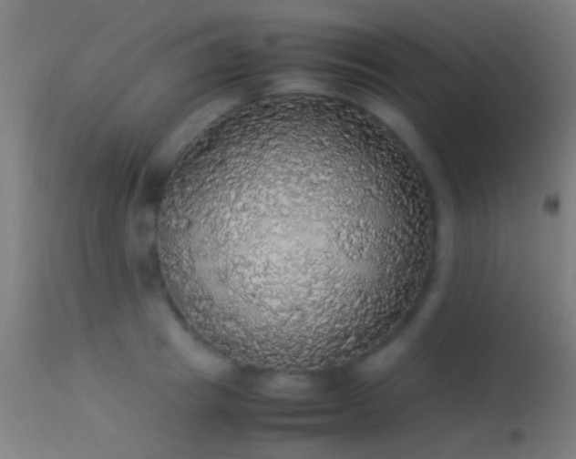 X0000114170849200910151635