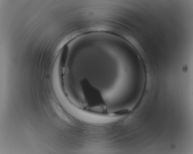 X0000114170850200910151635