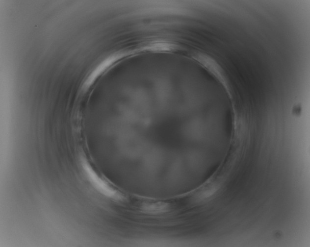 X0000114170851200910151635
