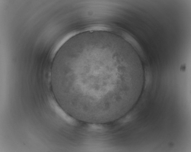 X0000114170852200910151635