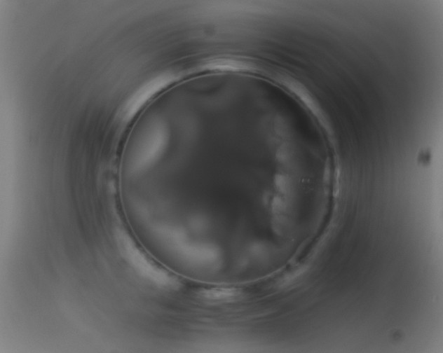 X0000114170853200910151635