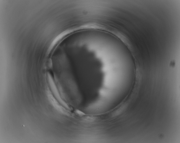 X0000114170854200910151635