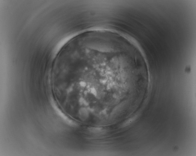X0000114170855200910151635