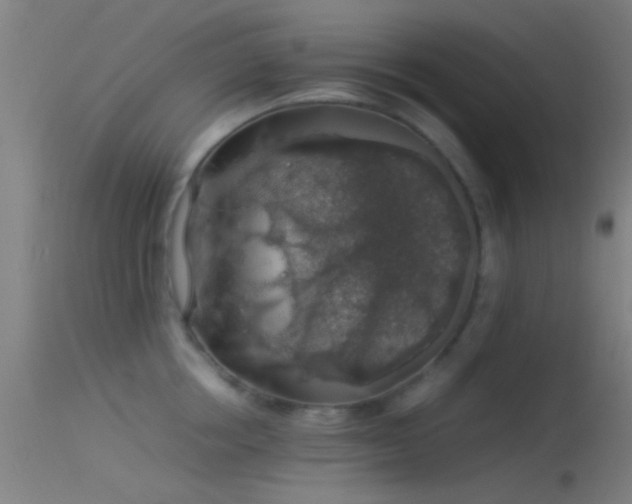 X0000114170858200910151635
