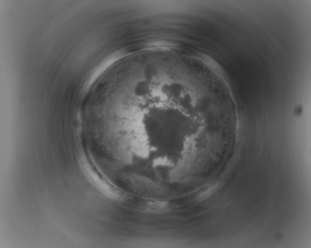 X0000114170859200910151635