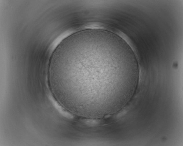 X0000114170861200910151635