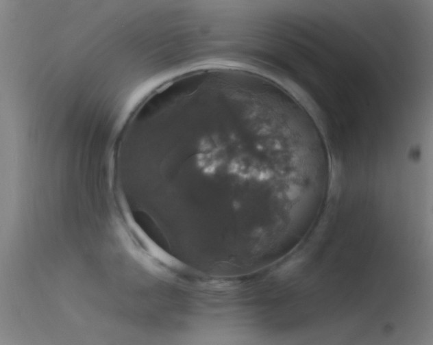 X0000114170862200910151635