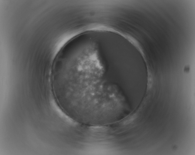 X0000114170863200910151635