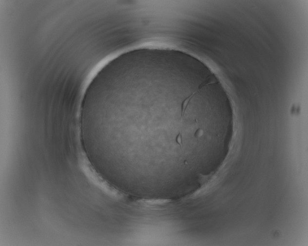 X0000114170864200910151635